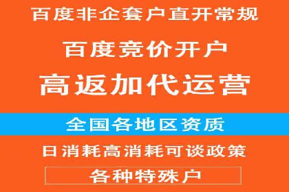 百度竞价广告的投放策略及某行业案例剖析